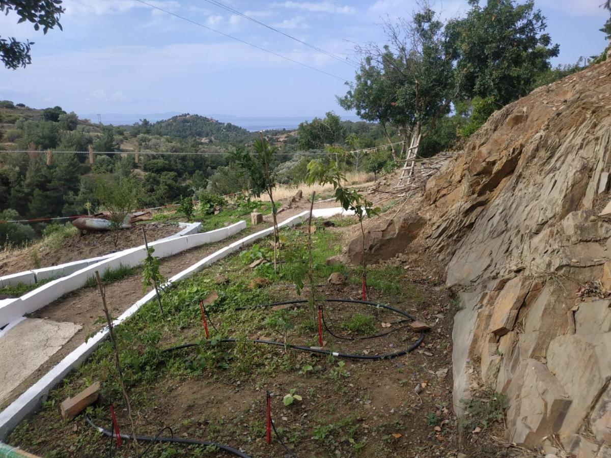 Villa Kotetsi - Rooms To Let - Volissos - Chios エクステリア 写真